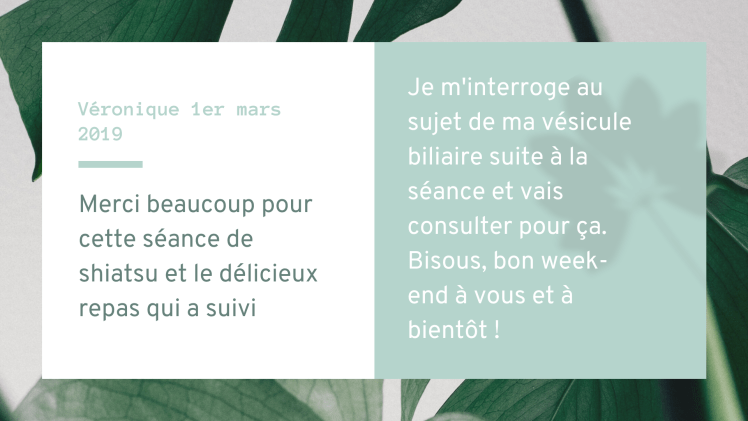 dragondebois praticienne de shiatsu dans l'Oise Anne SION prise de conscience d'une nécessité de consulter