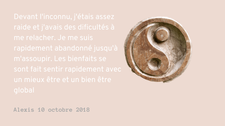 dragondebois praticienne de shiatsu dans l'Oise Anne SION mieux être et bien être global