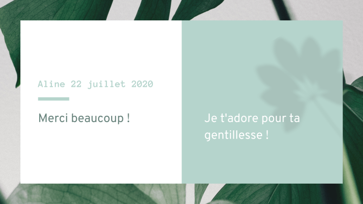 dragondebois praticienne de shiatsu dans l'Oise Anne SION reconnaissance