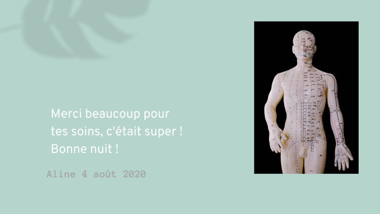 dragondebois praticienne de shiatsu dans l'Oise Anne SION bien être