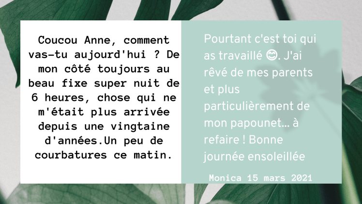dragondebois praticienne de shiatsu dans l'Oise Anne SION bon sommeil et beaux rêves